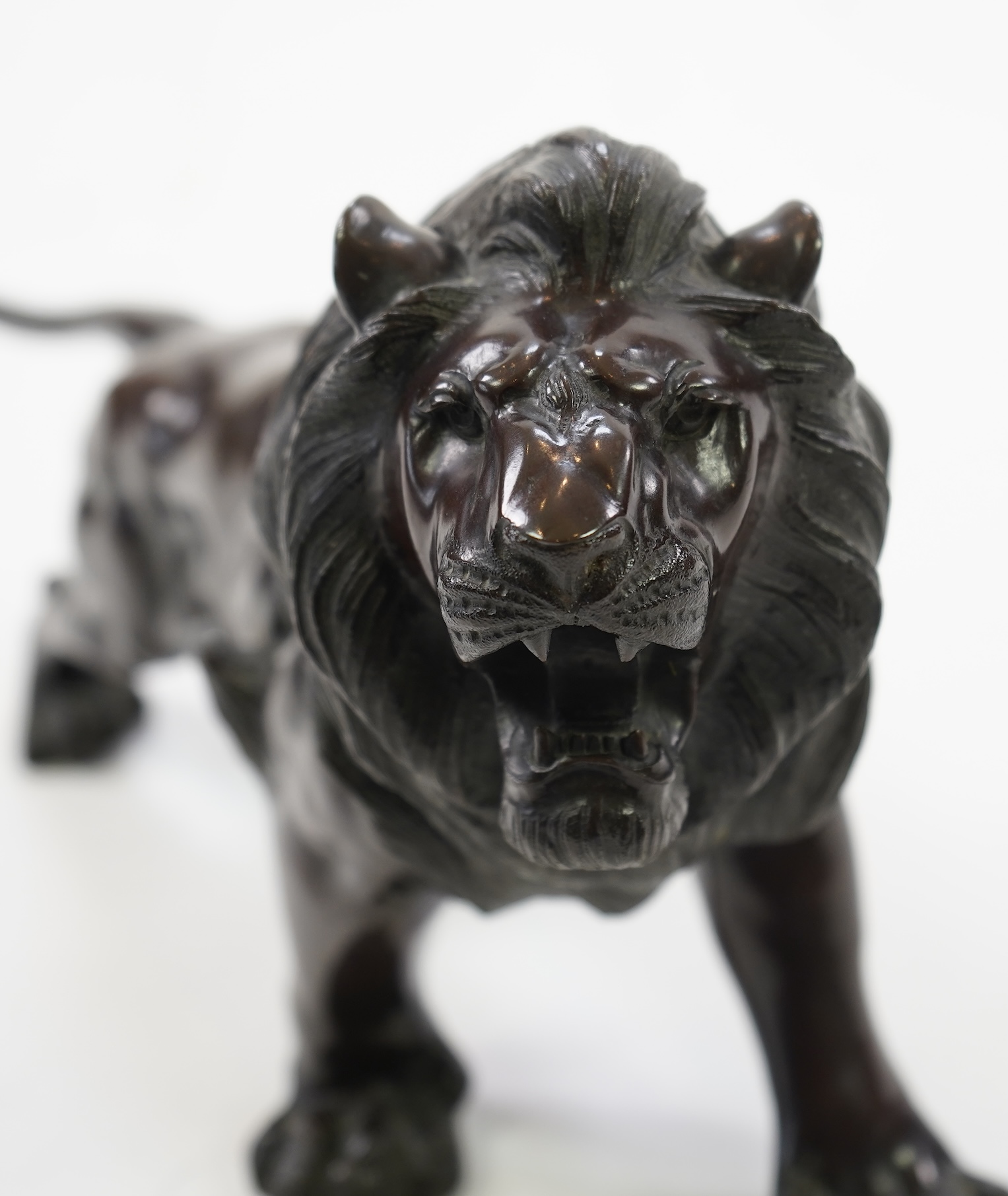 A Japanese patinated bronze okimono of a roaring lion, Meiji period